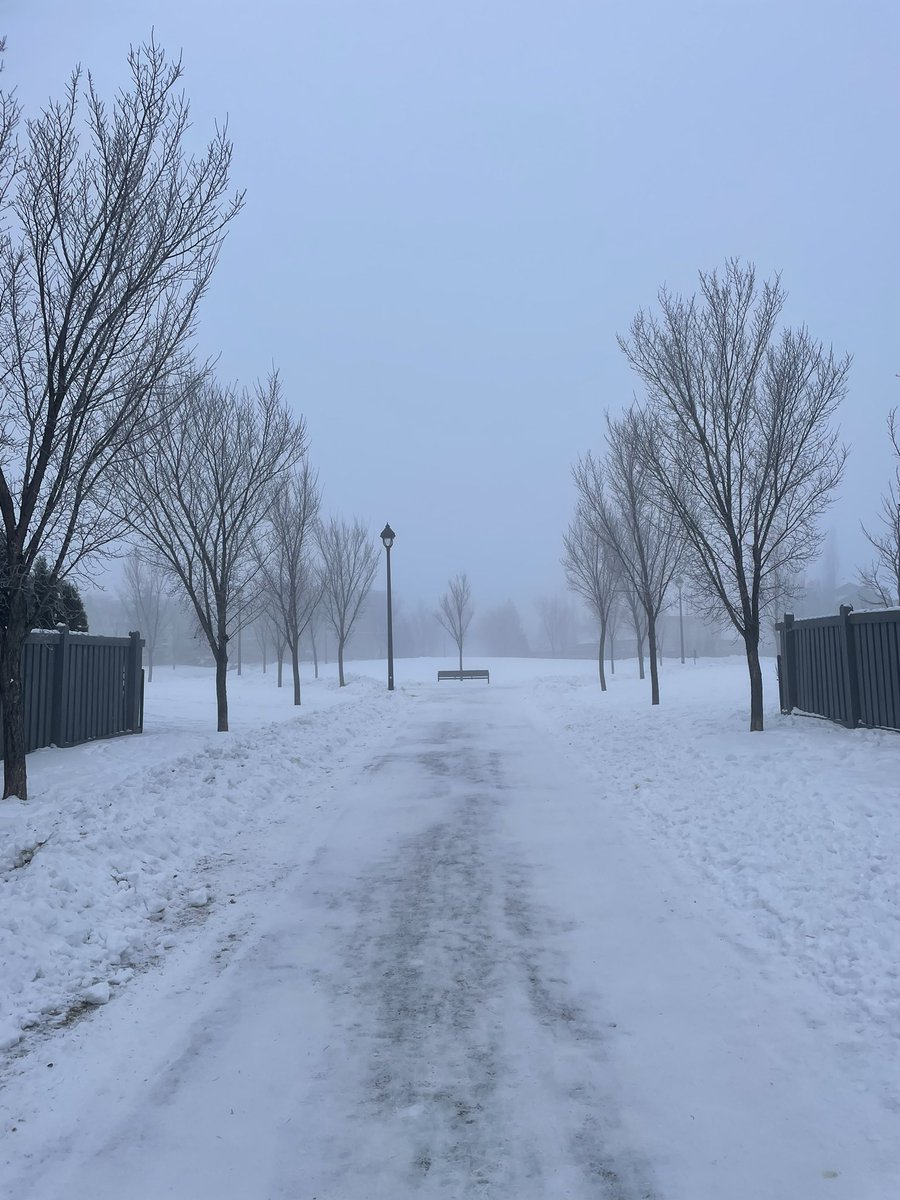 YEG.
