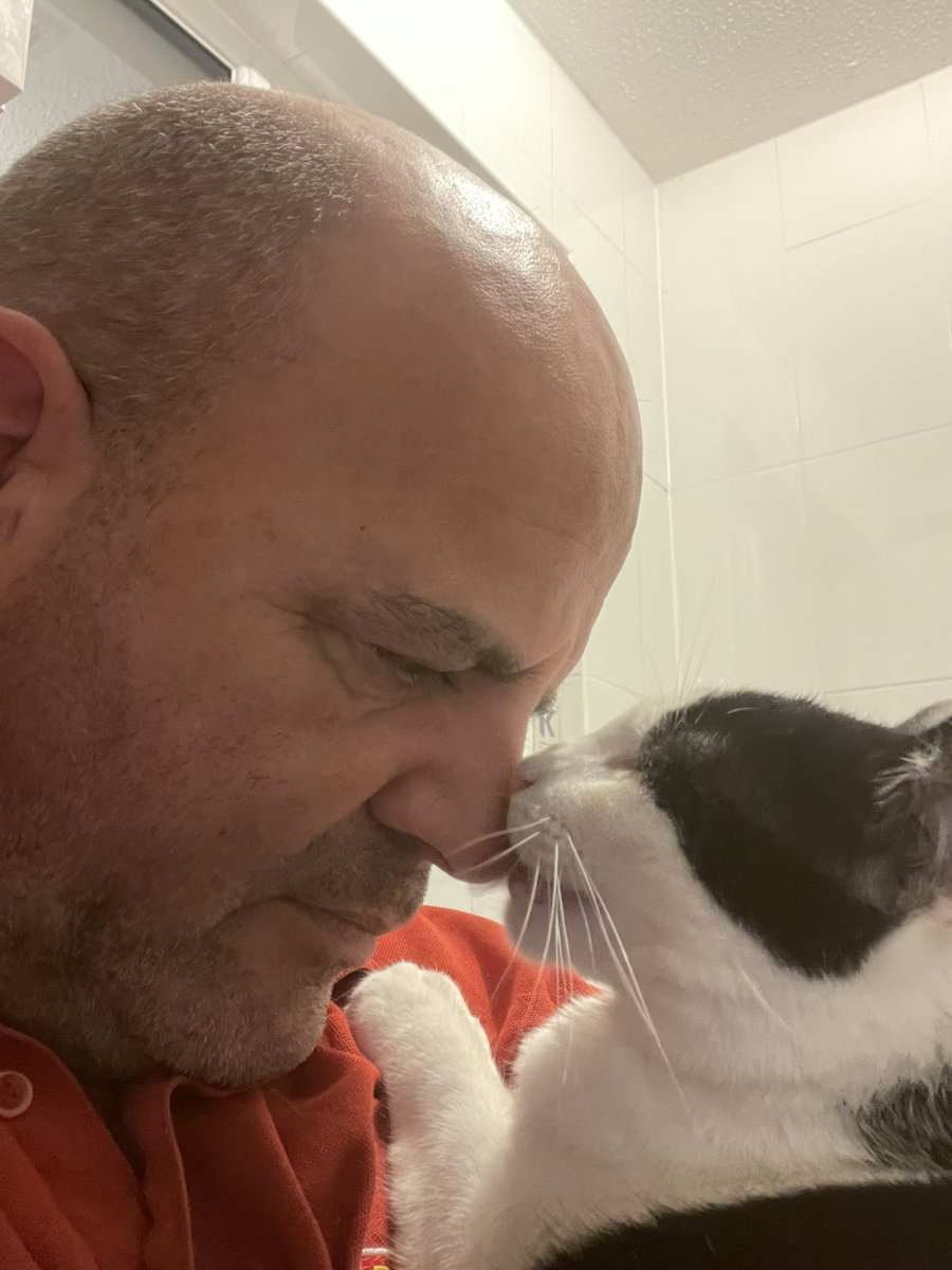 catbutlerdanny's tweet image. Good morning everyone 👋 Love, hugs and purrs to you all 🤍🖤🧡