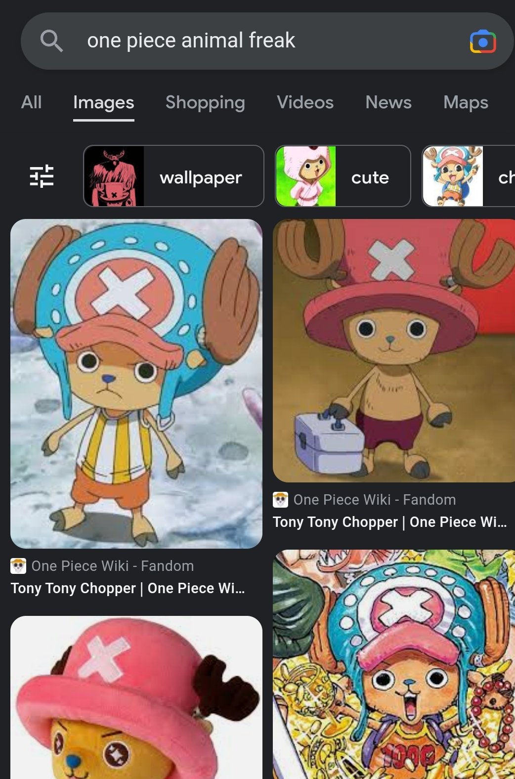 Tony Tony Chopper, One Piece Wiki