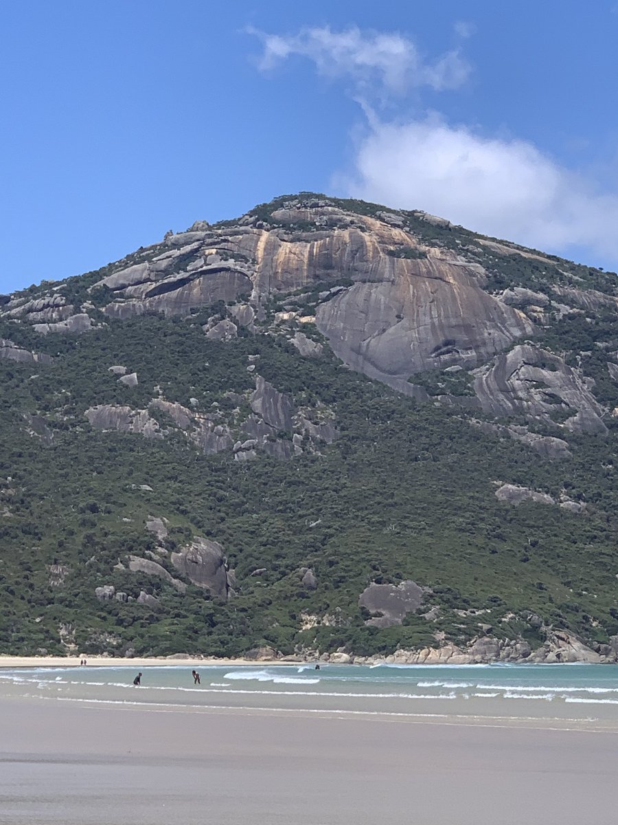 Stuart Batten tweet media