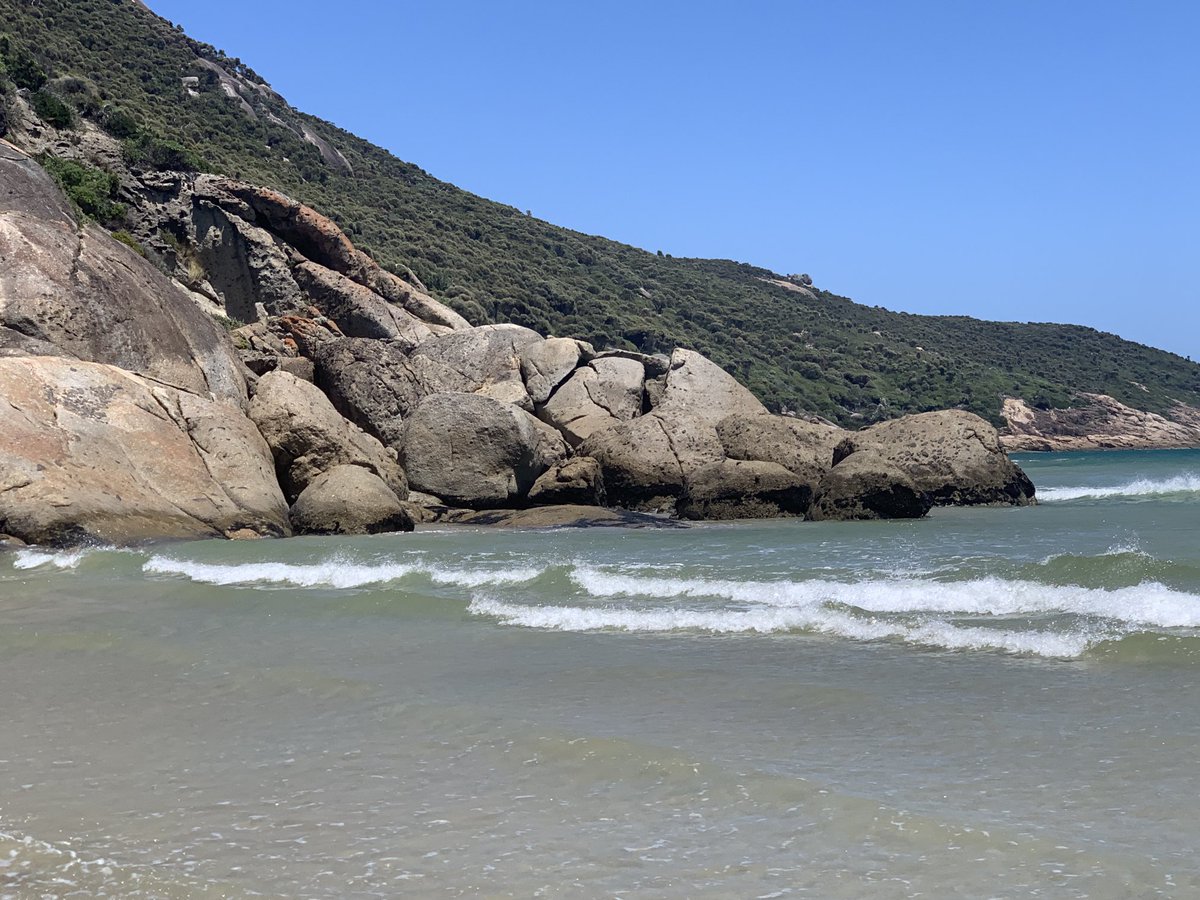 Stuart Batten tweet media