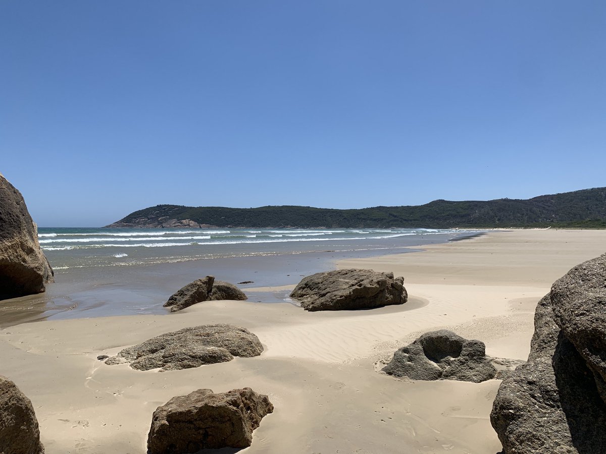 Stuart Batten tweet media