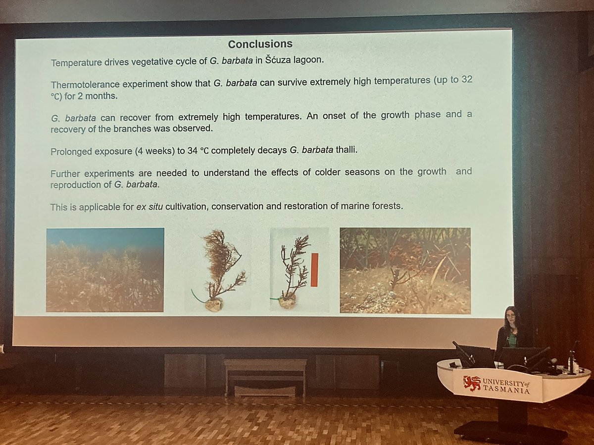 FucaleanForests's tweet photo. Excited to be presenting our work on remnant fucalean forests in the northern Adriatic Sea at #ITRS23, Hobart, Australia 🦘 Inspired by all the amazing temperate reef research from around the world 🐟 🌱🦭🦞 @ss_reefsrock https://t.co/5qP0CedaBc
