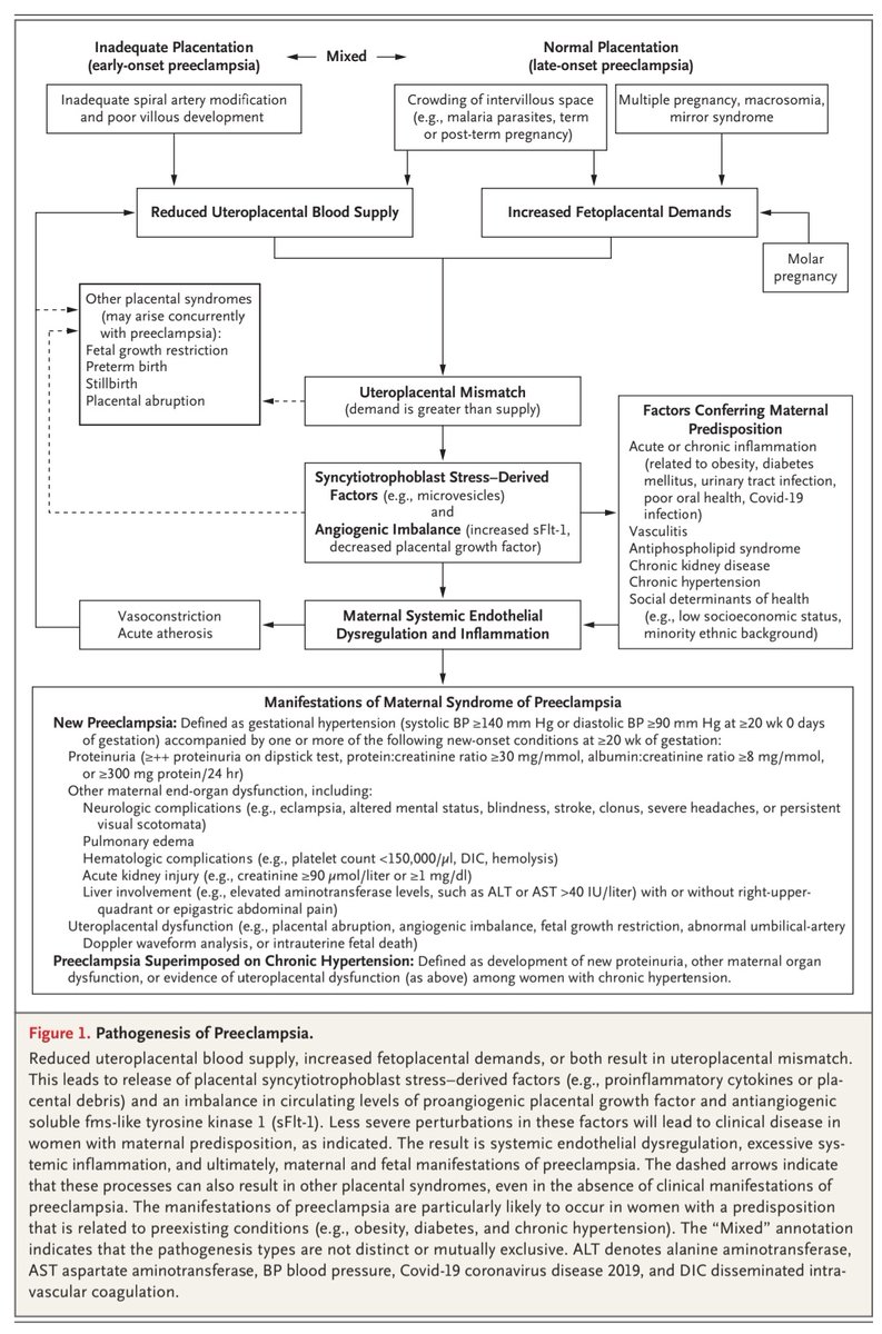 javier20ch's tweet photo. Preeclampsia.💥🤰
✨️La revisión más completa y actualizada del tema por @NEJM💯
🟢Dx: TA>140/90➕️>20SDG➕️proteinuria/Disf Orgánica
🟢Fisiopatología☠️💥
🟢Prevención: ejercicio, ASA, Ca, parto.
🟢Tto: labetalol, nifedipino, hidralazina, metildopa.💊💉
https://t.co/WDkySMzPVv https://t.co/nEqoOyI5OV