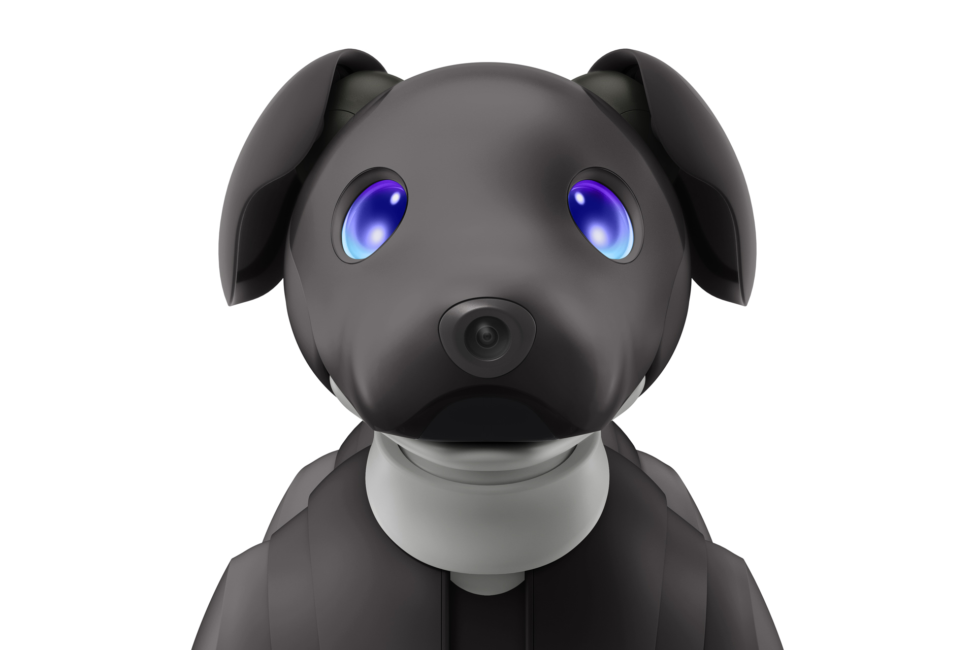 aibo jp