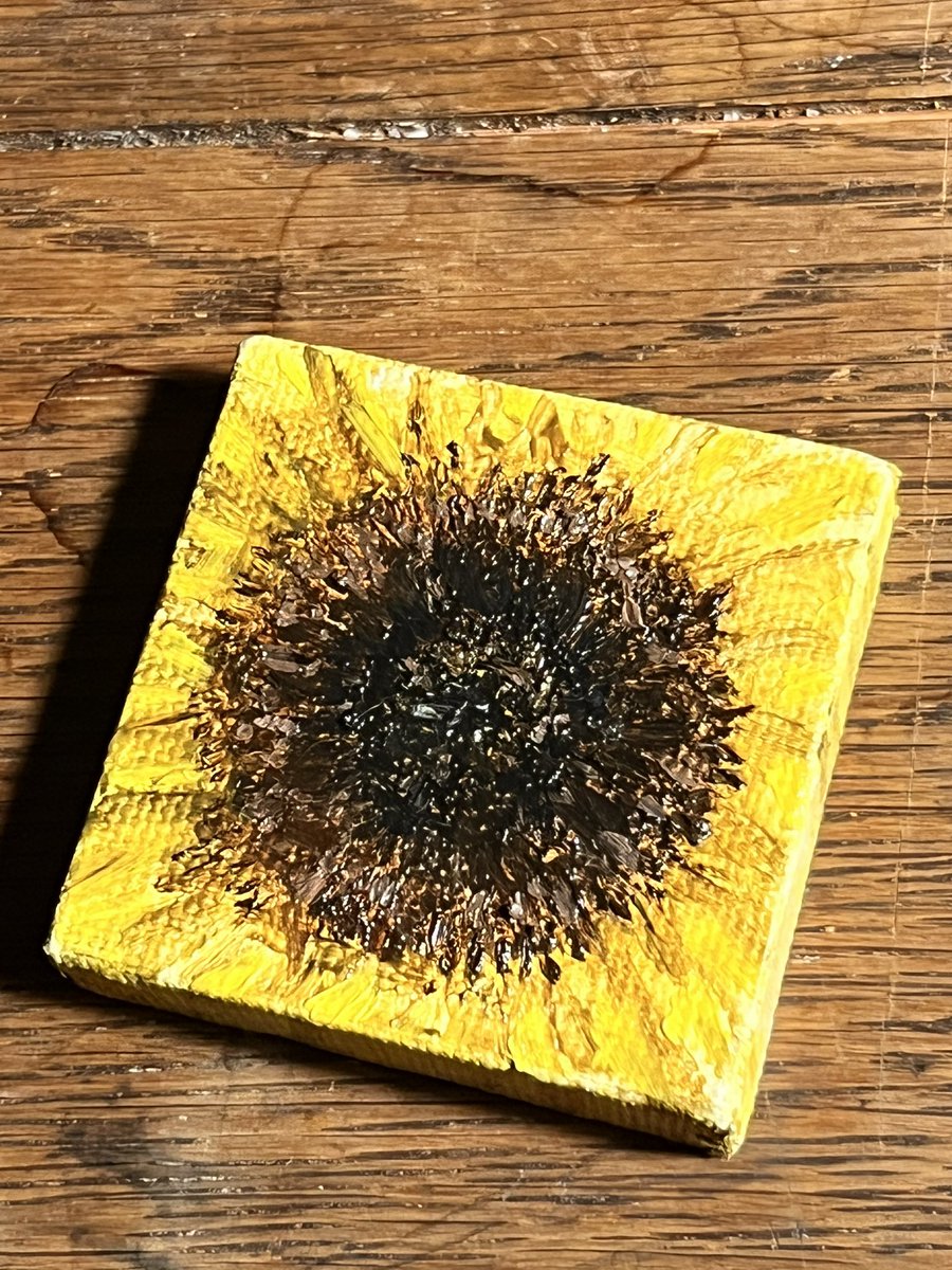HorridFeline's tweet photo. new OIL paint the glare annoys me, pit so much detail into the seeds. #art #arte #artist #youngartist #paintings #painting #paint #oilpainting #oilpaint #flower #sunflower #artistsontwitter #artistsoftwitter #artistsoninstagram https://t.co/5ghyOprSai