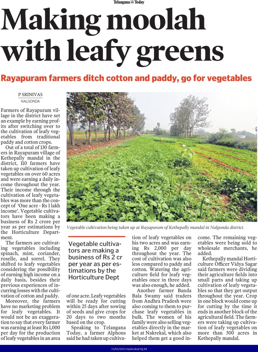 #Nalgonda
#leafyvegetables