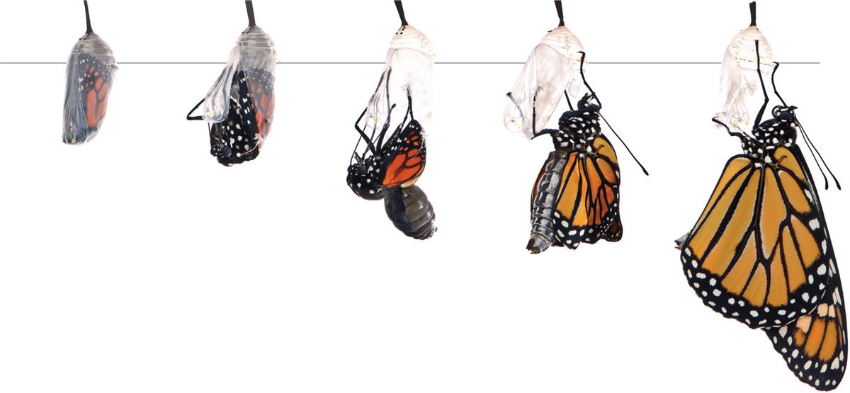 rjogpal's tweet image. The best way to make #change is to carry it out slowly, measuredly. It helps avoid the worst-case scenario of a backlash from vested interests.

#systemic 
#rajeshjogpal