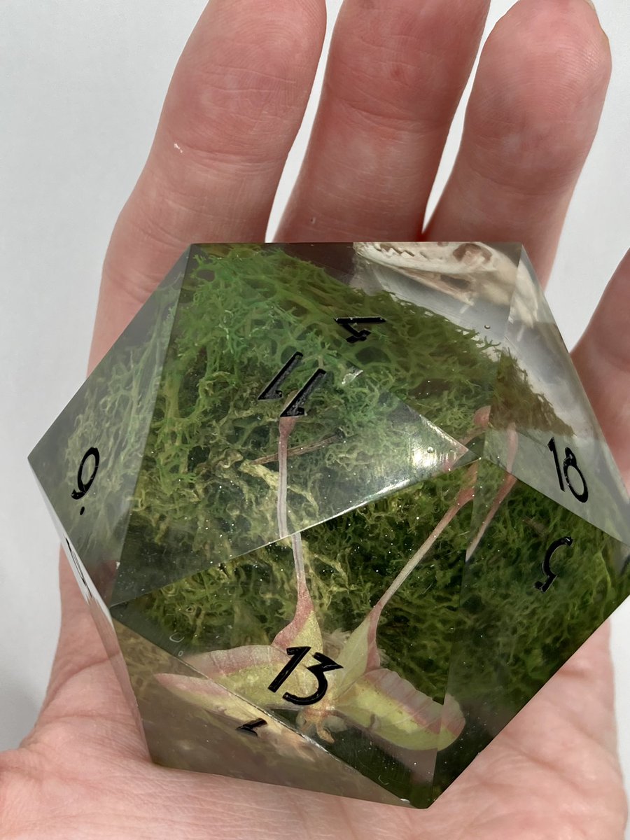 oddduckdice's tweet photo. #GIVEAWAY to celebrate 500 followers. For a chance to win, you must follow OddDuckDice. To be entered once: 👍 this post. To be entered twice: 👍 &amp; retweet. Ends 1/12/23 at 12PM EST. I will then @ the winner quote tweeting this post. #dice #dicemaster #Celebrate #ttrpg #skull https://t.co/YgbEJYFPEm