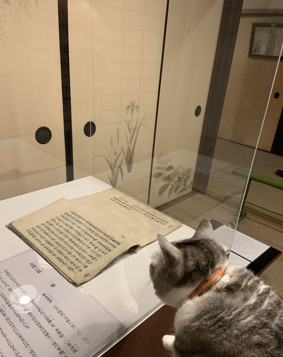 妙心寺壽聖院（寿聖院）@石田三成一族の菩提寺 tweet media