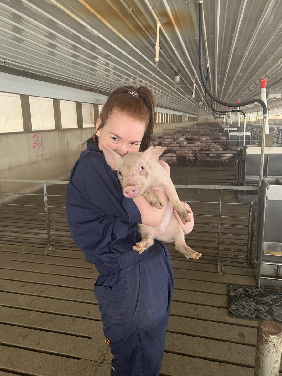 hannahfeld98's tweet photo. @JacketCareers #jacketcareers23 My passion is Agriculture! Agriculture has been the biggest part of my entire life and has taught me so much. Between 4-H and FFA I have grown into a strong, hardworking, and determined person… https://t.co/B5lYy9gD7E