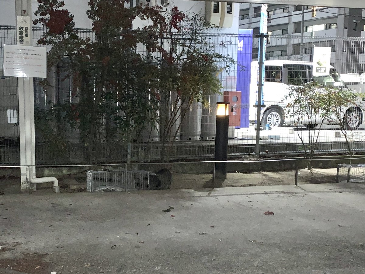 CatRescueの寄付金の一部を使って、60家さん(<a href="/boss_cat60ya/">NPO法人 動物愛護・福祉協会60家(ロワや)</a>)に捕獲機をお届けできました✨🐈

早速、ご利用いただけているようで良かったです！

今後もCatRescueでは保護猫活動に積極的に寄付をしていきます🍀
#保護猫活動