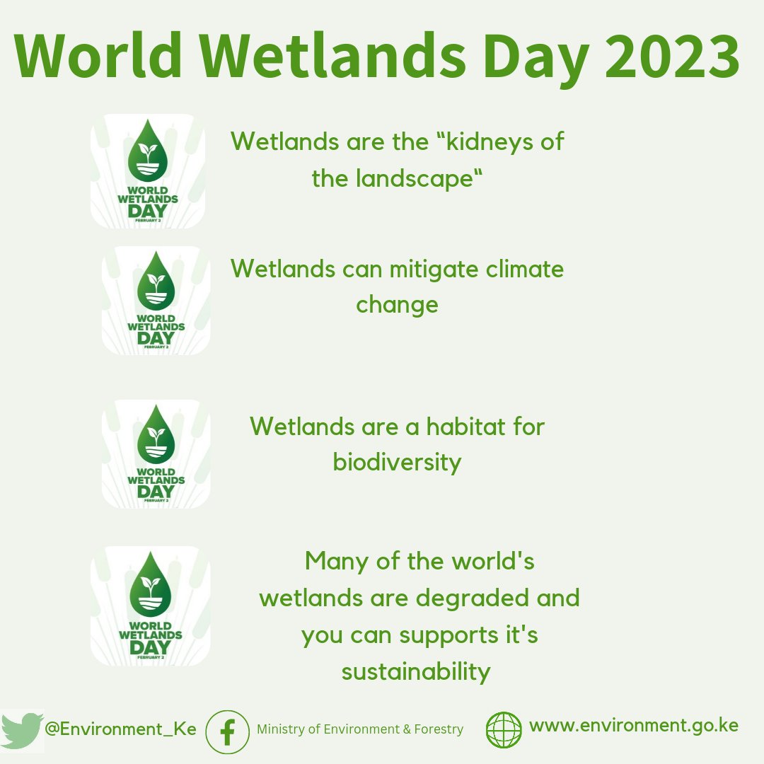 Did you know 35% of natural wetlands have been lost in the last 50 years? Your choices! Your voices! can trigger restoration changes #WorldWetlandsDay #WetlandsRestoration #RamsarConv #WakatiNiSasa