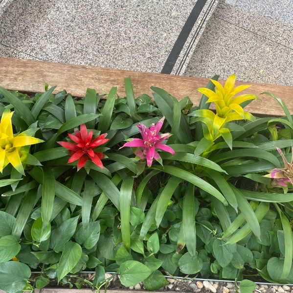 LoveOhLou's tweet photo. currently inspired by color harmony in nature https://t.co/f9wJnAHMge
