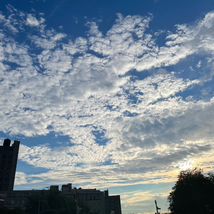 LoveOhLou's tweet photo. currently inspired by color harmony in nature https://t.co/f9wJnAHMge