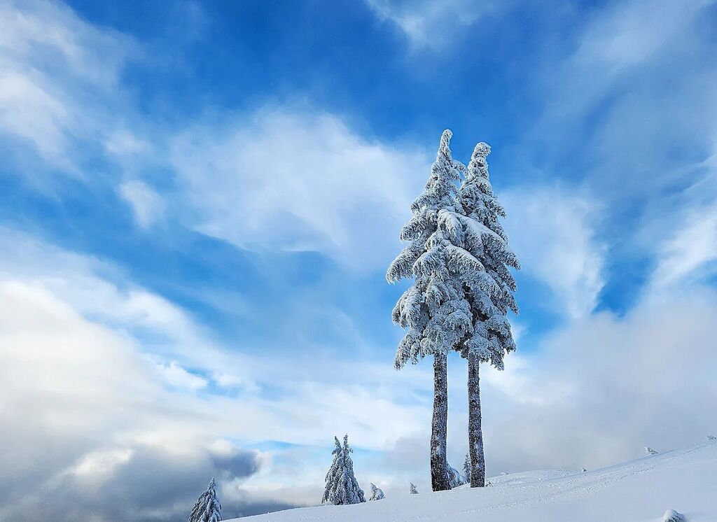 🎿 season ... #vancouvercanada #nature_brilliance #welivetoexplore #natureaddict #naturediversity #ourplanetdaily #instanaturelover #getoutside #getoutstayout #exploremore #theglobewanderer #letsgosomewhere #campvibes #optoutside #earthfocus #liveoutd… instagr.am/p/CnQqAycLtgD/