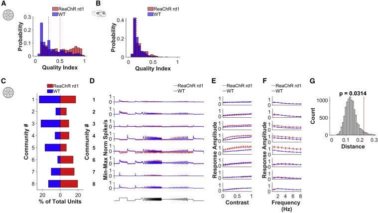 Moritz Lindner (@moritzlindner2) on Twitter photo Surviving retinal circuity in advanced RP (rd1) can recreate a rich visual code after #optogenetic #genetherapy! Great to see our paper out! Rodgers et al., <a href="/CurrentBiology/">Current Biology</a> : authors.elsevier.com/sd/article/S09…. Amazing work, Jess! <a href="/UniofOxford/">University of Oxford</a>
<a href="/Uni_MR/">Philipps-Universität</a> <a href="/RobLucasDar/">Robert Lucas</a> <a href="/spp2127/">SPP2127</a> <a href="/OfficialUoM/">The University of Manchester</a> Surviving retinal circuity in advanced RP (rd1) can recreate a rich visual code after #optogenetic #genetherapy! Great to see our paper out! Rodgers et al., <a href="/CurrentBiology/">Current Biology</a> : authors.elsevier.com/sd/article/S09…. Amazing work, Jess! <a href="/UniofOxford/">University of Oxford</a>
<a href="/Uni_MR/">Philipps-Universität</a> <a href="/RobLucasDar/">Robert Lucas</a> <a href="/spp2127/">SPP2127</a> <a href="/OfficialUoM/">The University of Manchester</a>
