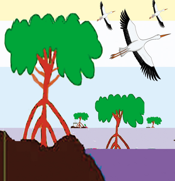 timesofindia's tweet photo. Get wet, get well: Wetlands are nature’s shock absorbers. Their degradation in cities is real bad news for urban future

Read today's TOI Edit 👇

https://t.co/CWNkm8ryIc https://t.co/bV2MDi9ROS