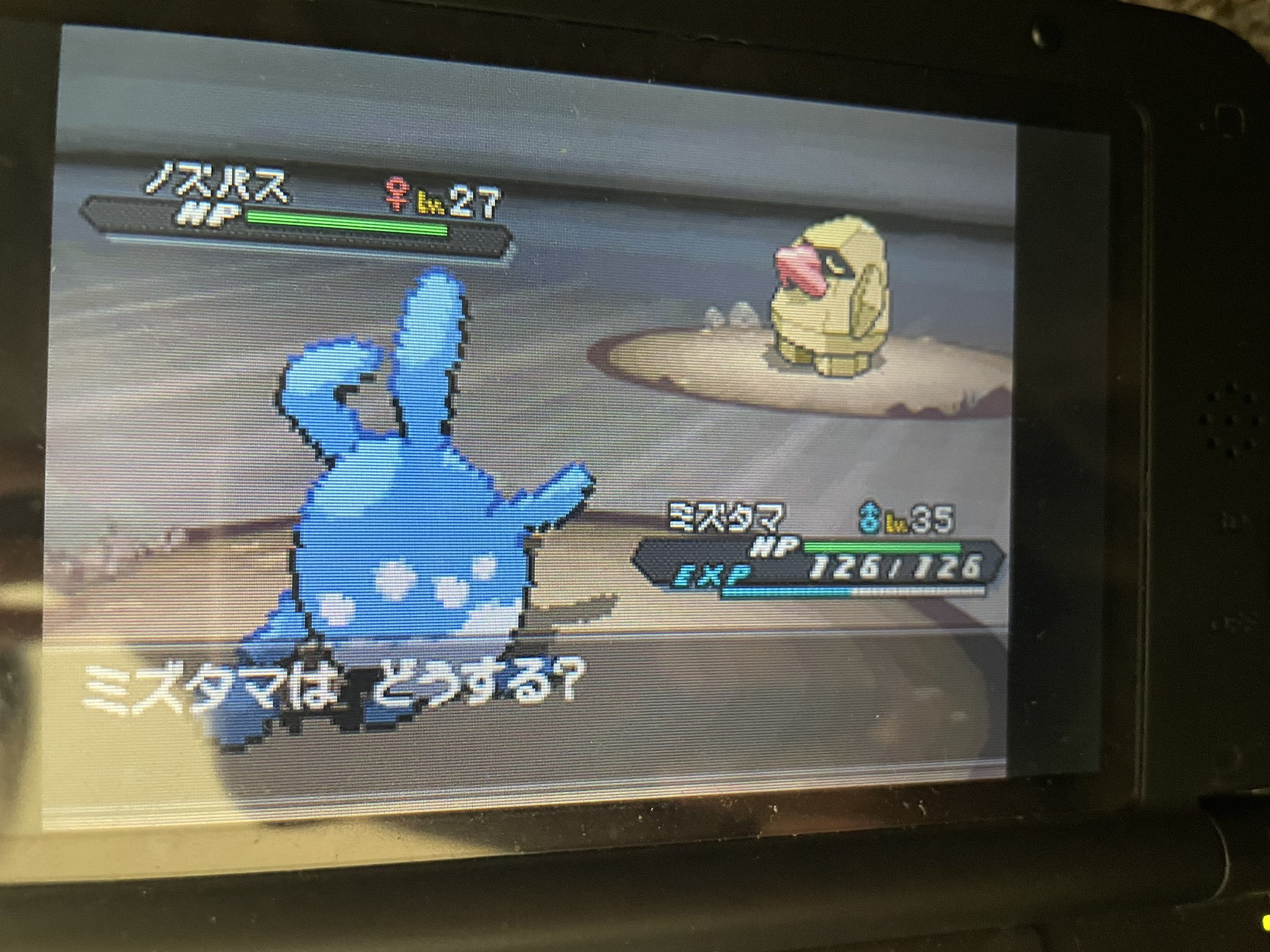 やえむぐら (rugaruga_music) / Twitter