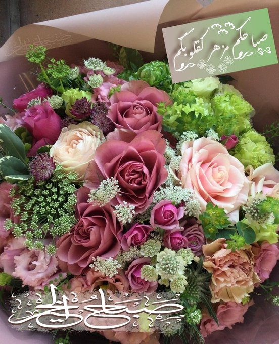 <a href="/kahlid6575/">♡☜(`o´)</a> <a href="/AesiAmir/">🍁assi💞amir1</a> <a href="/75suhair/">_. suhair Al_jumaili</a> <a href="/AsltanataZri9i/">أحباب TURKI ALALSHIKH</a> <a href="/N21_A3/">د. احمد البابلي</a> <a href="/qmr_raq/">قمر العراق</a> @IraqTsh @Rahiqll @_0M01 <a href="/QQ4CC/">قـمـر</a> <a href="/MubarakAlanaz16/">ابو سلطان الخطيب</a> @yasminkhan2004 <a href="/0__llllll/">‏تصَفَّحُوا كدهُو❤️،اللهم نصرك ❤️🇵🇸</a> @Ali_Hassan_001 @Raabdulrashed <a href="/ZakryaYahia/">yahia zakrya</a> <a href="/bondg200/">الحساب للبيع༄༅ بــنـدق ༄༅</a> <a href="/farah808000/">🦋𝓛ⲂⲰⲎ</a> <a href="/M62687551/">🇮🇶❤️🇮🇶ENG.MOHAMMED 1 🇮🇶❤️🇮🇶</a> @noureddine1717 @xxxln9 <a href="/hashimakr771/">اكرم الدبعي ( قلب الاسد )⁦🇾🇪⁩ بديل</a> <a href="/anesmansory/">أنيس منصور</a> <a href="/0Ain_/">𝑨𝒊𝒏𝒂𝒎 𝒗𝒊𝒆𝒘'𝒔</a> <a href="/7wt_h/">الملكي ابوبندر</a> <a href="/AaiatAna/">ana</a> <a href="/_t657/">حل واجبات عمل بحوث كتابه تقارير عمل مشاريع تخرج</a> <a href="/_i1ig/">ريحانة الجنة والخاص ممنوع</a> <a href="/9ffI3/">عائشة 🤍🇸🇦</a> <a href="/9Gg1995/">ليلى..♥️♥️🌺</a> <a href="/BAldhrany/">عبدالله الدهراني</a> <a href="/Alus9fy/">A𝓵𝔂𝓸𝓾𝓼𝓮𝓯𝔂</a> @nljb_ <a href="/NajieSul/">سلطان السامعي</a> <a href="/Njjjfff/">نوااف اليافعي 2</a> <a href="/Rashika56/">ر̯͡ش̯͡ي̯͡ق̯͡ة love</a> @NaD0a2l2l <a href="/KamlTrbwsh/">كامل طربوش</a> <a href="/am020m/">آمال</a> @00137_013 <a href="/khftadwm/">الدومي</a> <a href="/qa9doha/">المعالي مرجلة🇶🇦 الدوسري</a> <a href="/M_D_8_9/">💫مُـحَےـمِّـد سًےـلَطآنٌےـ💫</a> <a href="/M_94_8/">محمود 2</a> <a href="/Sivetlana3/">Sivetlana</a> <a href="/Haidy2468H/">هايدي💎بنت💎 الأكآبر</a> <a href="/adel197610/">عادل الشريف</a> <a href="/ShQCI4/">الشيماء 🇪🇬</a> #قروبات_البابلي_للاضافات

🔹❀• #دعم_نورالدين1 •❀🔹