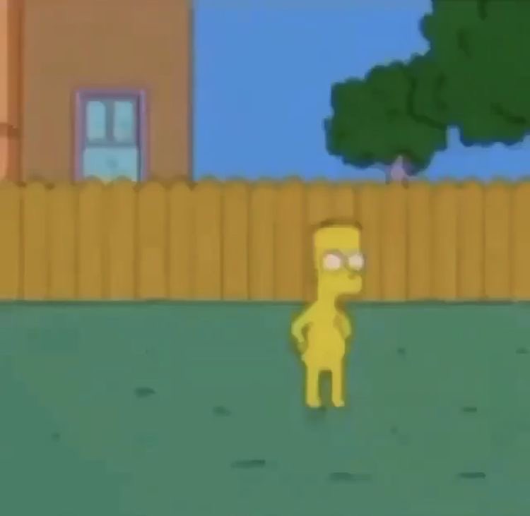 everyone being a fucking sillies, what to do