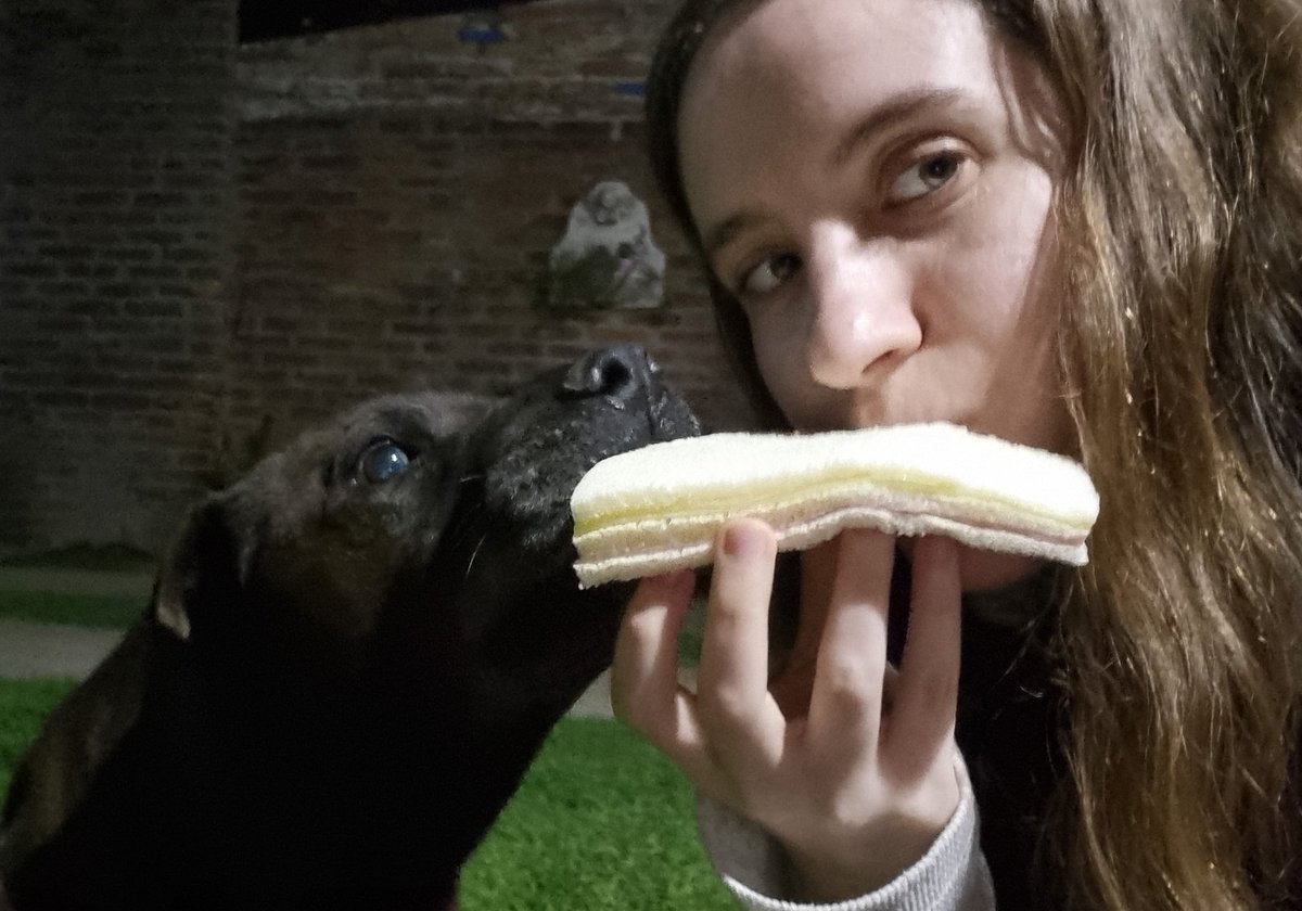Como empezó / como va
De ser maltratada a comer sanguchitos de miga y asado 💘💘💘
