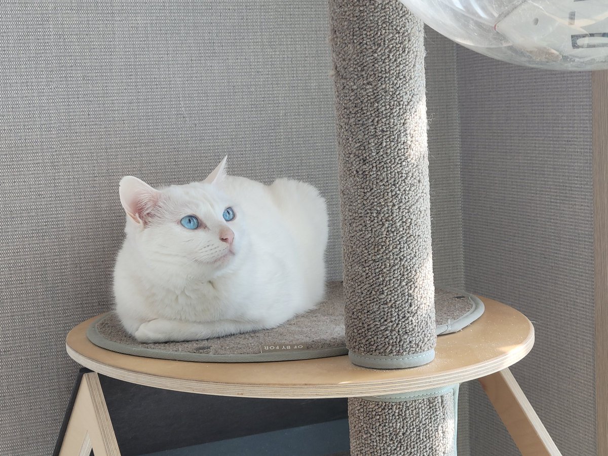 나이먹을수록 늠름해진 모습(성격은 안늠름)