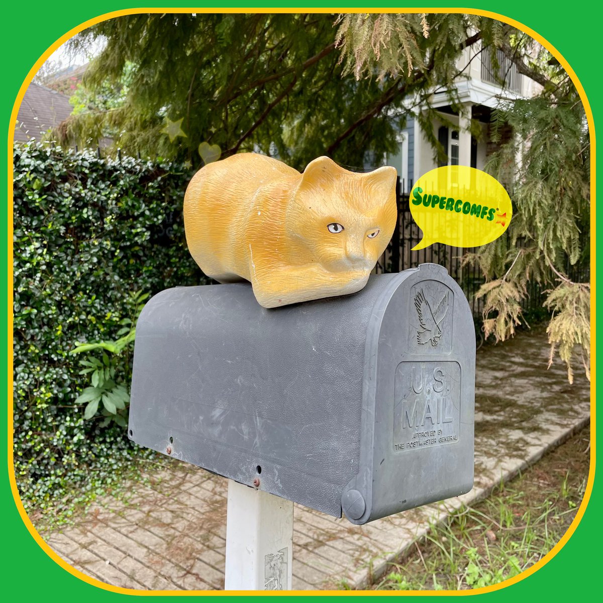 supercomfs's tweet image. #MeowBox🐈📫
➖💚🌟