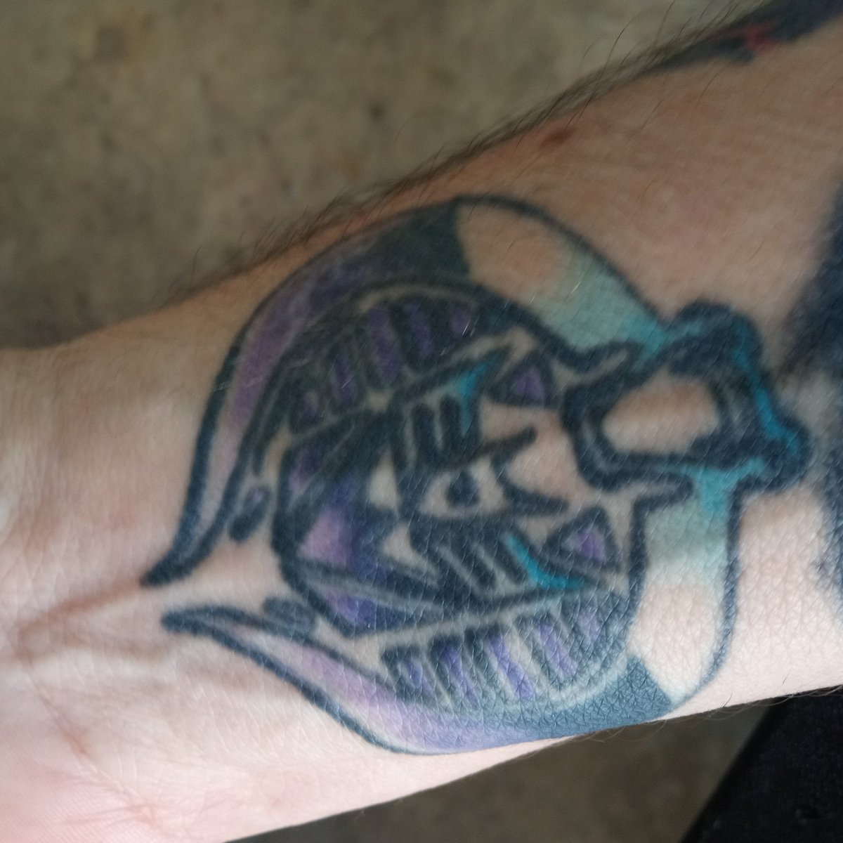 DavidEdilla's tweet image. 