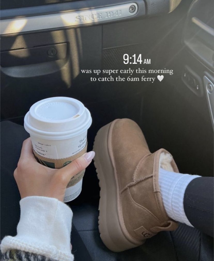 𝑠𝑜𝑓𝑖𝑒 🌙 tweet media