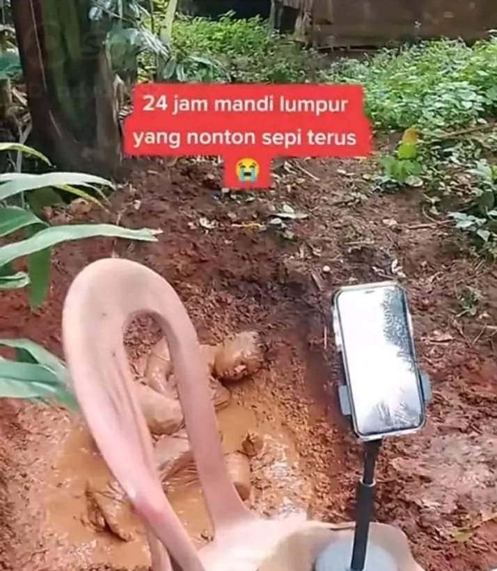 Alessa Mutto tweet media