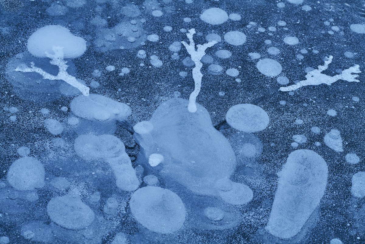 水の森。氷の枝をあしらったような風の足跡とアイスバブルのコラボ。糠平湖にて。#林明輝写真美術館 #Leofoto林明輝LS284CLin #ファインダー越しの世界 #キリトリセカイ #ソニーαアカデミー #日本の絶景 #風景写真 #Lovers_Nippon #森の瞬間 #DesignScape #美しい景色 #日本の風景 #携帯で撮る風景写真