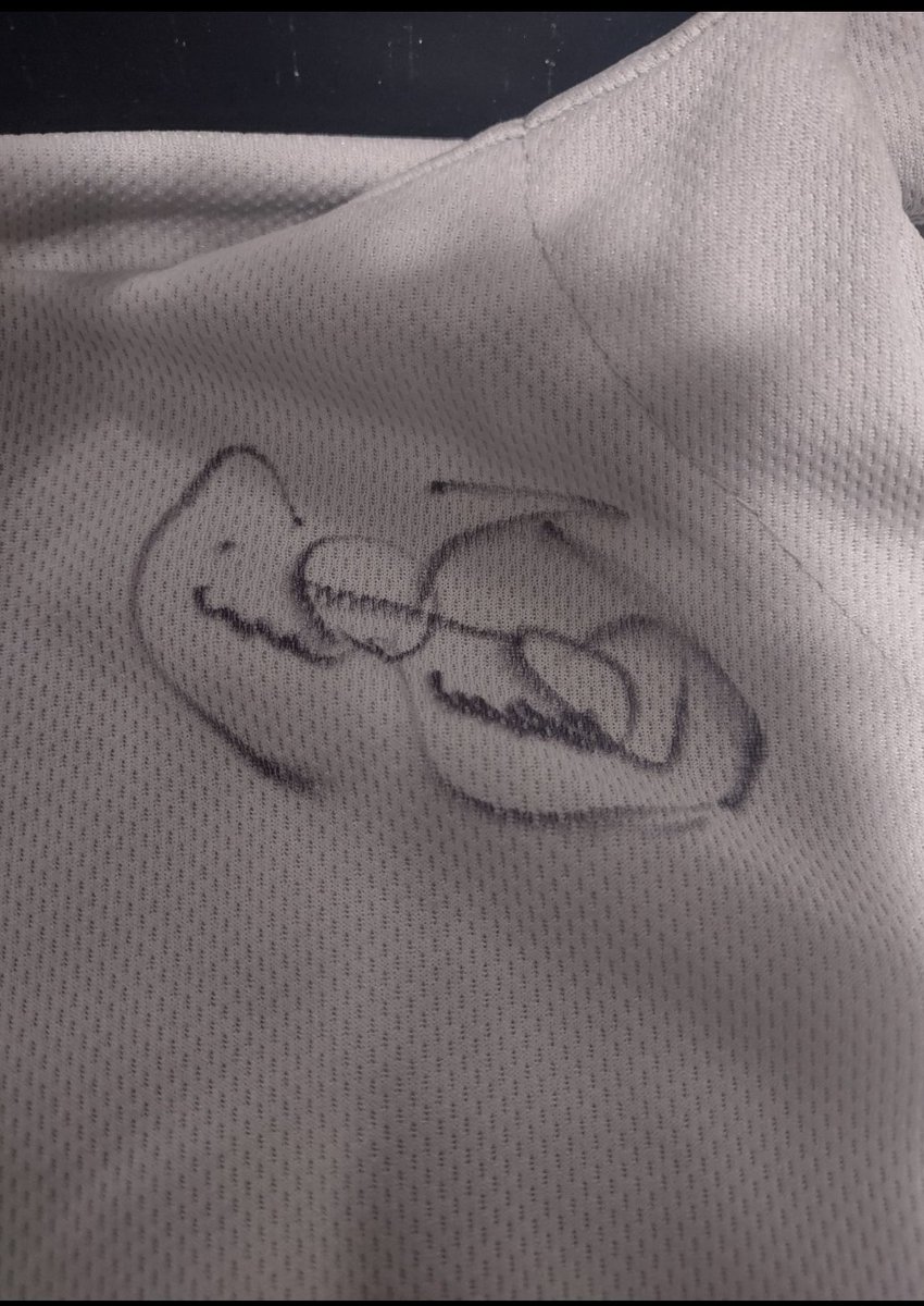 Real Copper Harbor tweet media