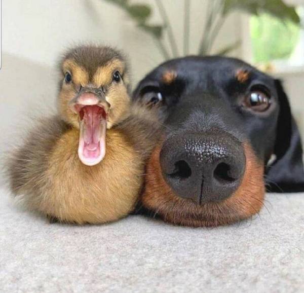 gbcsoftware's tweet image. ME&amp;amp;U