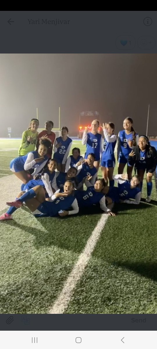 Dickinson Girls Soccer tweet media