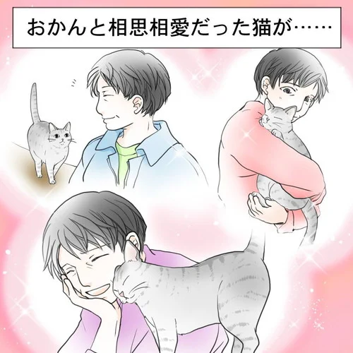 おかんと相思相愛だった猫、立ち上がる気力もなかったが…… 別れを惜しんだ不思議なエピソードに「泣いてます」「うちの子も」と感動の声 https://t.co/gFxtNCLDI2 @itm_nlabより 