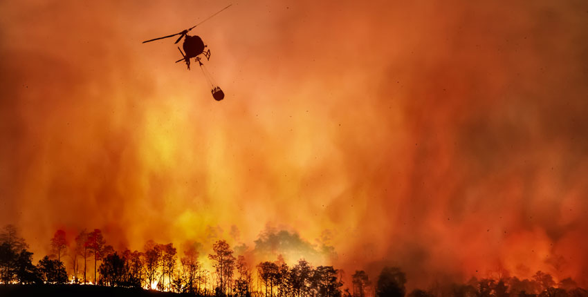 .@harvardmed's #BernardChang: '#ClimateChange is one of the truly existential threats to human health in the short- and long-term future + our responsibility is to ensure that our graduates are prepared to tackle climate-related challenges' #HMS

buff.ly/3QI0mKR