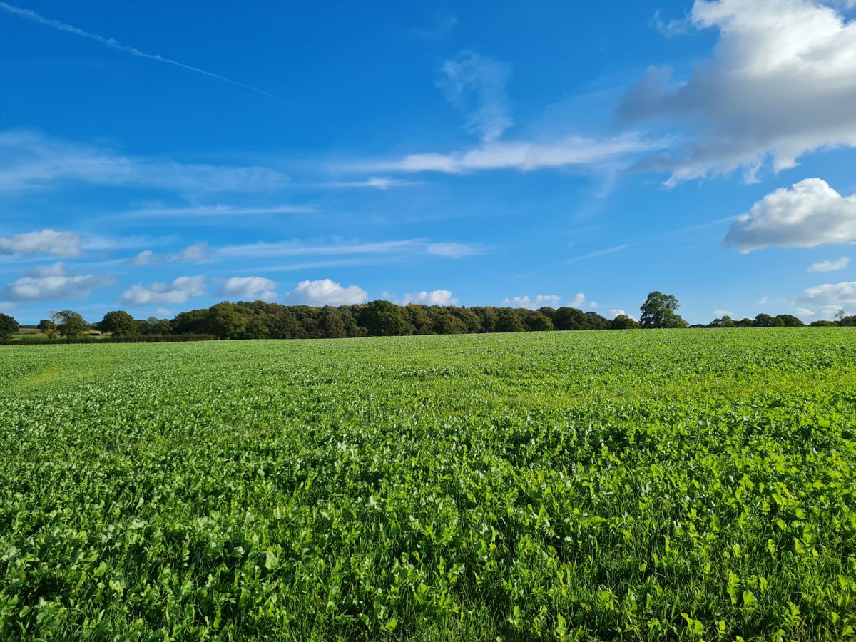 N-Check versus N-Check Plus—what’s the difference? Whilst both analyse soil for Nitrate-Nitrogen, Ammonium-Nitrogen, soil mineral nitrogen, &amp; give total value for the combined soil depth, N-Check Plus also adds soil organic matter analysis. Find out more: cawood.co.uk/save-money-on-…