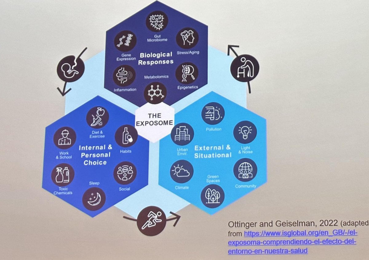 SMDS_research's tweet image. The exposome. No wonder #reproscience is so complex ⁦@clrbarratt⁩ ⁦@MScHCEAC⁩ ⁦@DrSAWilliams⁩ #fertility2023 ⁦@BritFertSoc⁩ ⁦@SRF_Repro⁩ ⁦@ARCScientists⁩