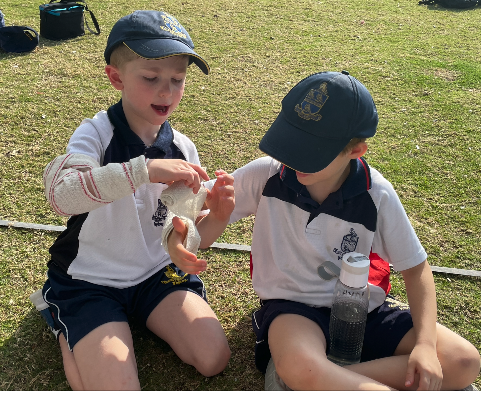 Emma Langton tweet media