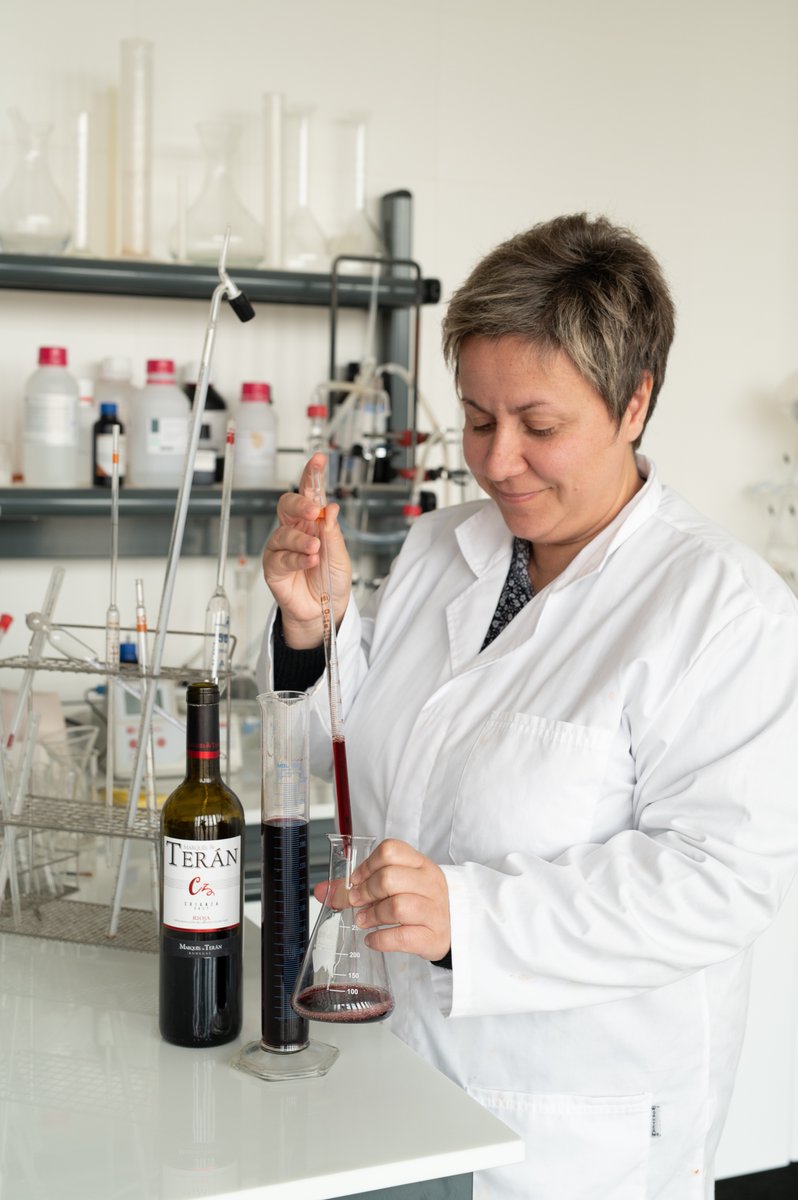 En #Marquesdeteran nos apasiona cada paso del proceso! Por este motivo nos hace especial ilusión compartir contenido dónde se muestre el equipo y todo el cariño que le dedican a la elaboración de los vinos 👏🍷

#Experienciateran