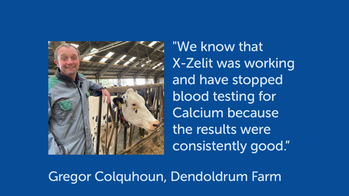 Farmers who treat their dry cows with X-Zelit know that it works to provide the perfect balance of calcium at calving!

x-zelit.co.uk/what-the-resea…