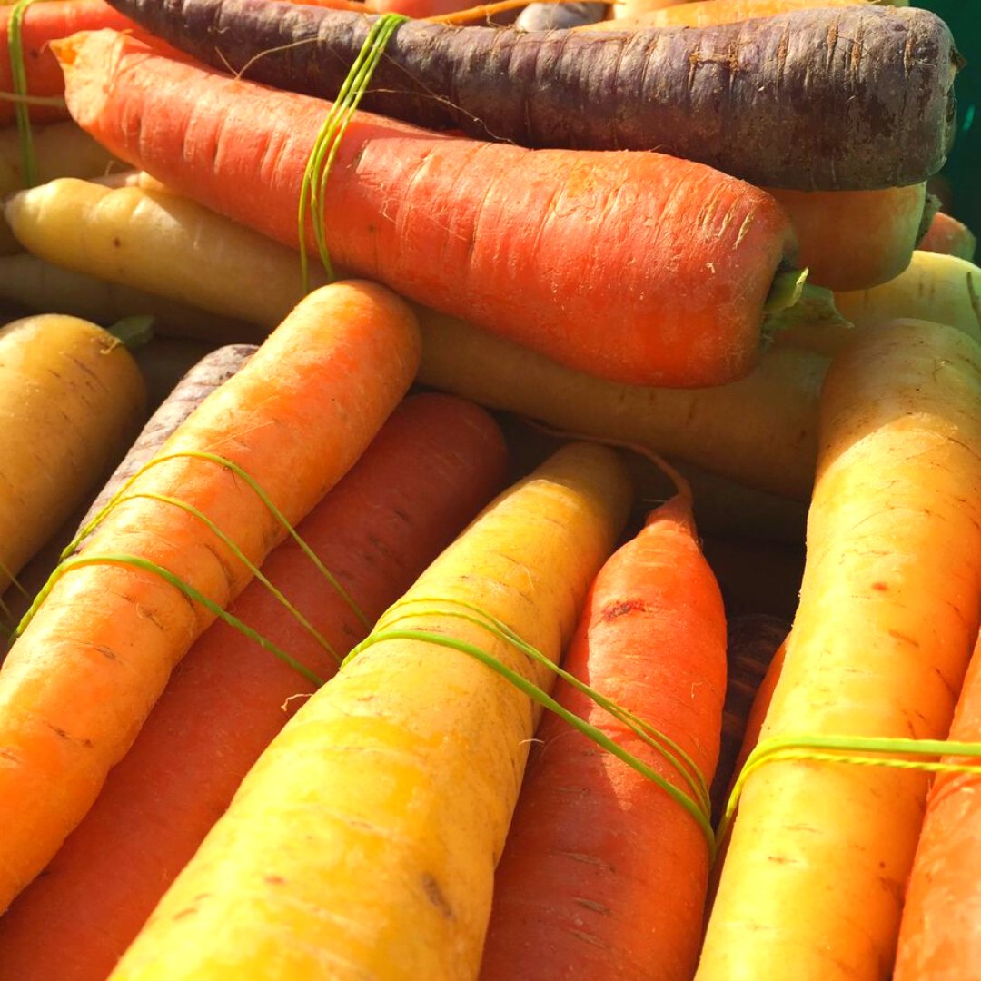 It's our first collection week of 2023 🥳 We hope you're all refreshed after the festive season and looking forward to cooking up a storm with our fresh, #organic veg!
 
This week we have some delicious #RainbowCarrots that are sure to bring some vibrant colour to your kitchen 🥕