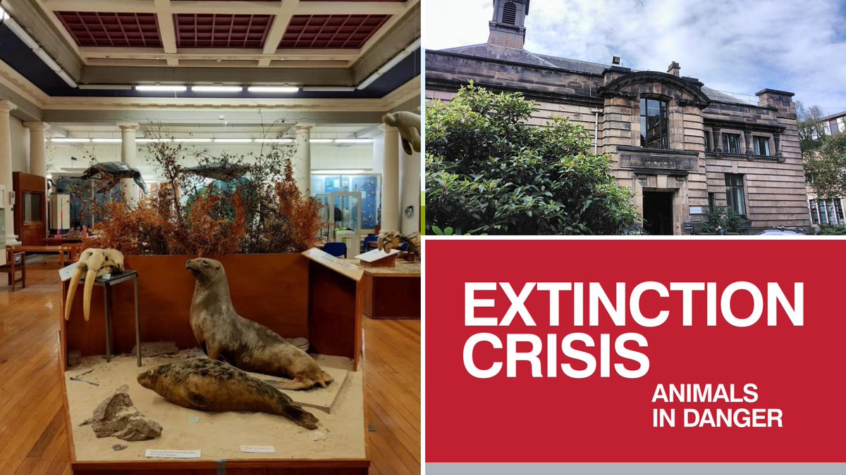 Don't miss this week's Friday Focus with Curator of Zoology Mike Rutherford, who'll be looking at the various at-risk species we hold in our collection and will examine the drivers pushing them closer to extinction. eventbrite.co.uk/e/the-hunteria…