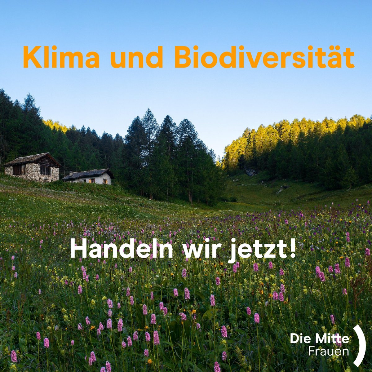 Wir lehnen die Biodiversitätsinitiative 🌱 ab.
Wir wünschen aber eine Debatte um einen indirekten Gegenvorschlag zur #Biodiversitätsinitiative 

🔎 Unsere Stellungnahmen 👉frauen.die-mitte.ch/communiques/
#KlimaschutzCH  #Gletscherinitiative ⛰️