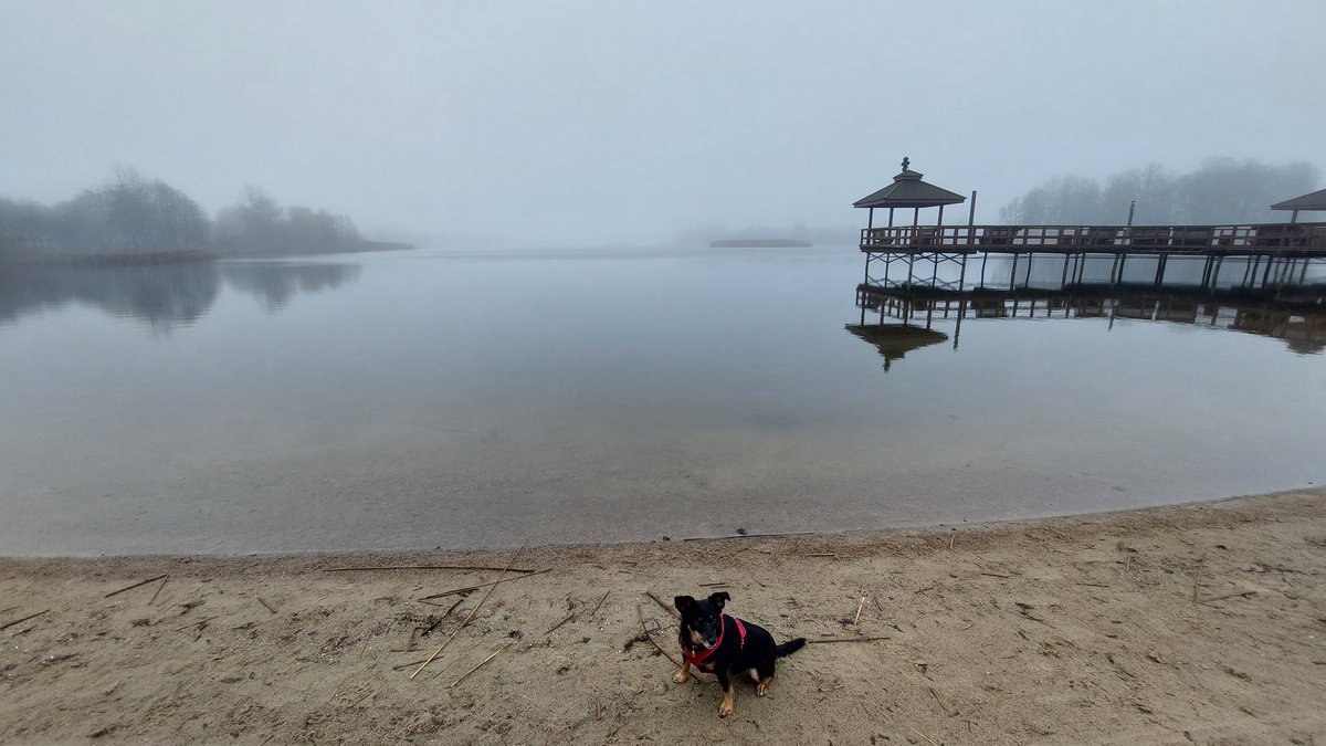 jo_ashka's tweet photo. Taka zima #mgła #mazury #jezioro #spacerzpsem https://t.co/c5D5LPFiFP