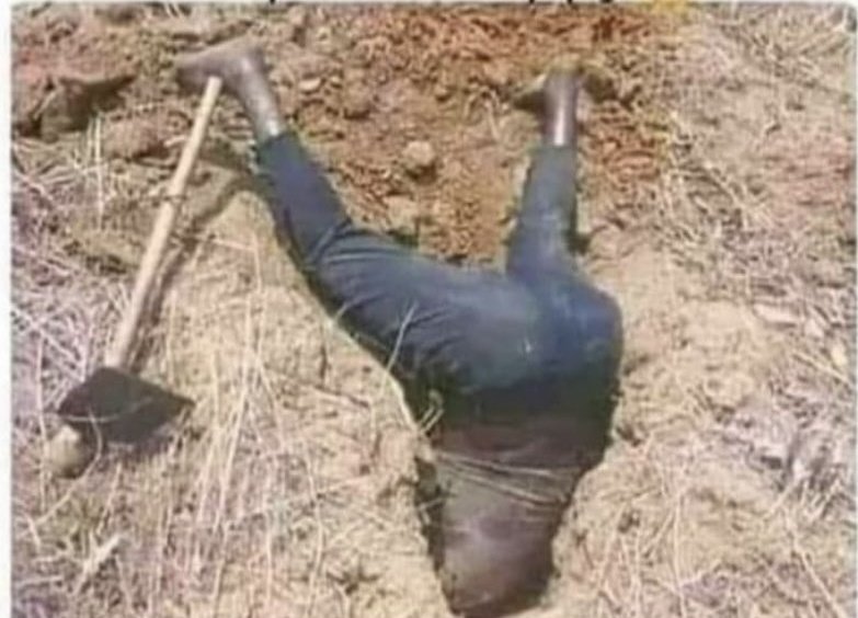 David Ebuka tweet media