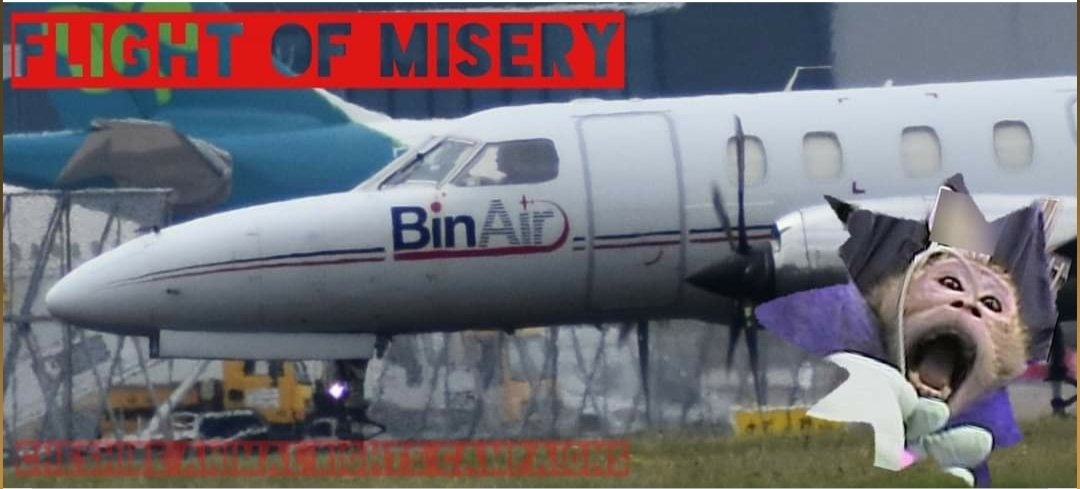 MrAnimalNut's tweet photo. I really do hope that Manchester Airport can reconsider the enablement of animal abuse by stopping these flights of laboratory monkeys, or is it only about money for you?
@manairport @andyclarkeuk https://t.co/sDDZQY4V1D