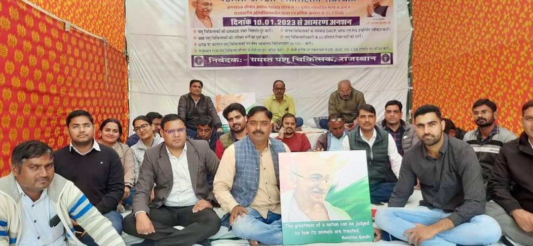 DrYogeshArya's tweet photo. लंपी के रक्षक
#पशु_चिकित्सको_की_न्याय_की_गुहार
@ashokgehlot51
@KatariaLalchand @_lokeshsharma @1stIndiaNews @Editor_Umang @ABPNews @DainikBhaskar @zeerajasthan_ @RahulGandhi @rakhee_h @kashiram_journo @RajGovOfficial @AjayUgrasTOI https://t.co/KlBMYkSamK