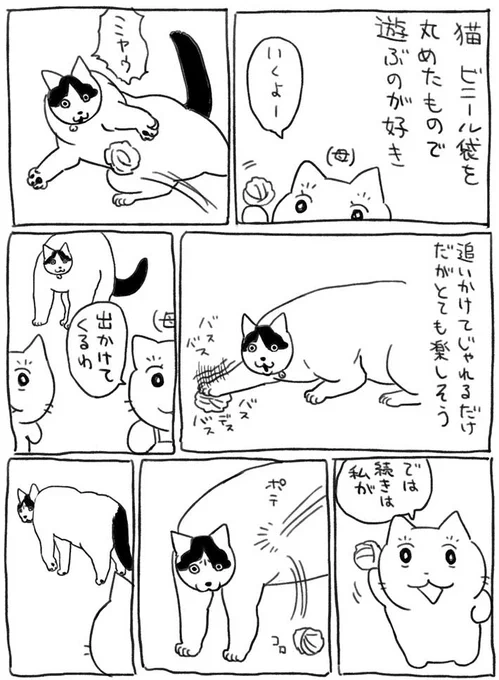 「いっそ清々しい」「心をえぐる…」 大好きな母以外が、猫と遊ぼうとすると…? https://t.co/EkUjp8lBdg @grapeejpより 